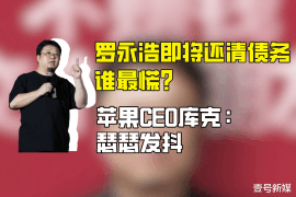 宜城企业清欠服务